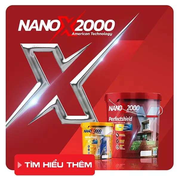 nanox2000